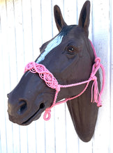 Braided horse halter with rose quartz beads