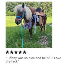 Pony Set-Pink,turquoise,lilac