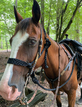 Black Braided mule tape horse halter with lead … flat noseband