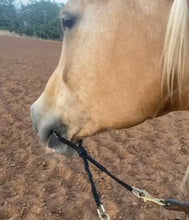 War bridle