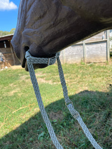 War bridle with buckle chinstrap and reins