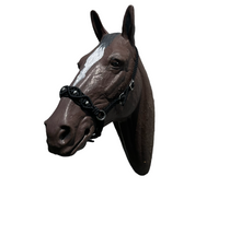 Complete Bitless Bridle macrame beaded hackamore with simple headstall