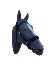 Horse Bitless bridle with fancy braided side pull hackamore