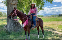 Purple  ombré Tack set …. All sizes