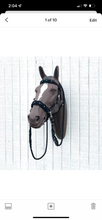 Side Pull Hackamore with jasper braided into a fancy noseband bitless attachment all sizes SOLID COLOR