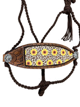 Sunflower Braided mule tape horse halter with bronc noseband