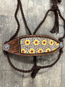 Sunflower Braided mule tape horse halter with bronc noseband