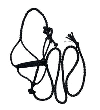 Black Braided mule tape horse halter with lead … flat noseband
