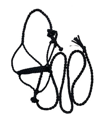 Black Braided mule tape horse halter with lead … flat noseband